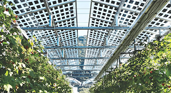 সর্বশেষ কোম্পানি ব্লগ সম্পর্কে ইতালি সৌর প্রকল্প সাইট নির্বাচন এবং সৌর ট্যাক্স প্রণোদনার উপর নতুন প্রবিধান প্রকাশ করেছে